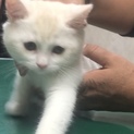幸せ探し…