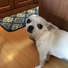 の写真
