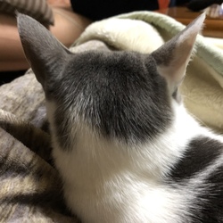 「背中で抗議(｀・ω・´)」サムネイル2