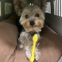 一難去ってないけどまた一難