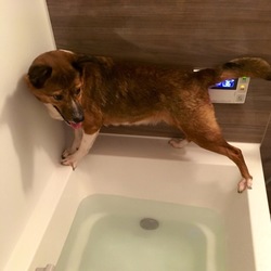 「ついにお風呂に入ったよ」サムネイル1