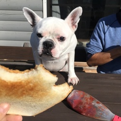 「ついにお風呂に入ったよ」サムネイル3