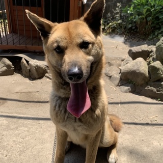 慣れればとても可愛いです✩.*˚