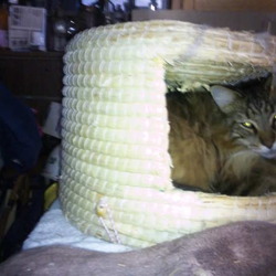 「一気に冬がやってきた！」サムネイル2