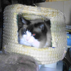 「一気に冬がやってきた！」サムネイル3