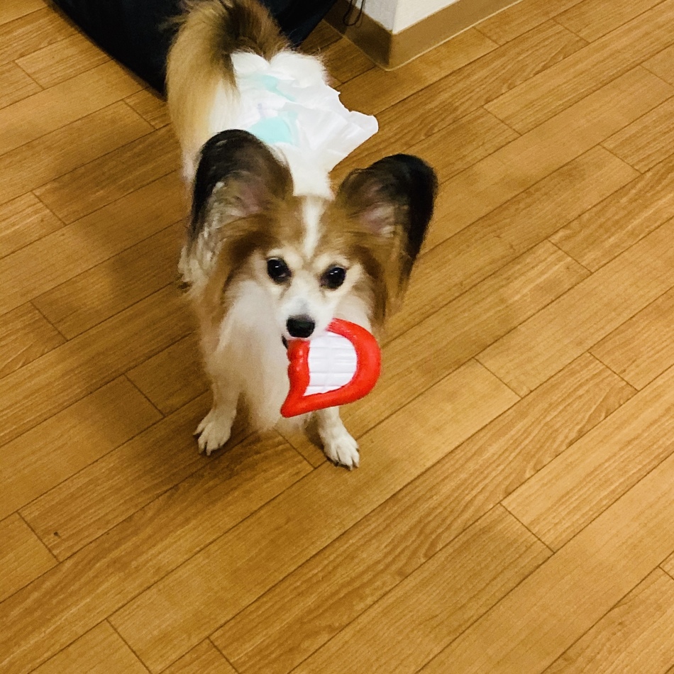 ららのカバー写真