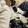 の写真