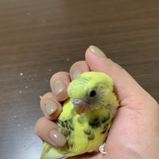 ありがとうございました(_ _)