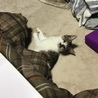 の写真