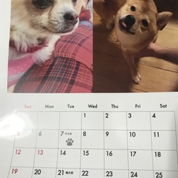 「うふふ ❤️」サムネイル1