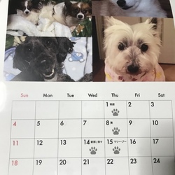 「うふふ ❤️」サムネイル3