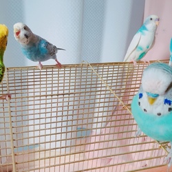 「今年もあと少し」サムネイル2