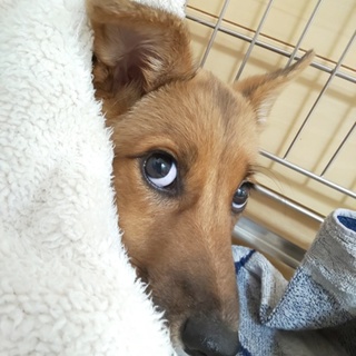 白ソックスのアイラインくっきりの美人さんです✨