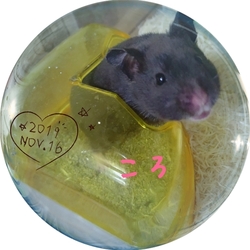 元気になる時間です