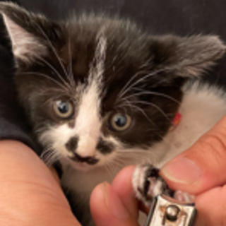 お鼻の模様がチャームポイント☆じんべえくん