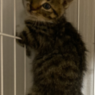 元気いっぱい☆きり丸くん