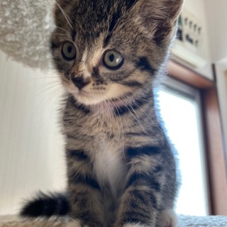 くつ下がかわいい☆クリスくん