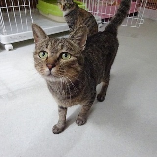 保護した人に捨てられて辛い思いをしました