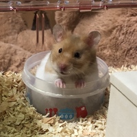 つるすけ