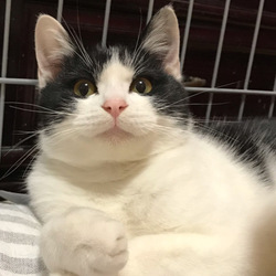 また連れてきちゃった