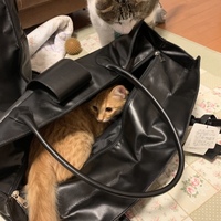 ごま