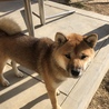 もうすぐ１歳