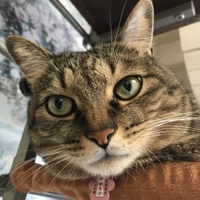 にこ