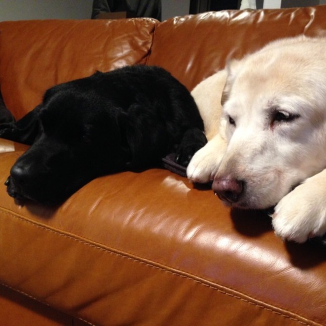 クレア0209のカバー写真