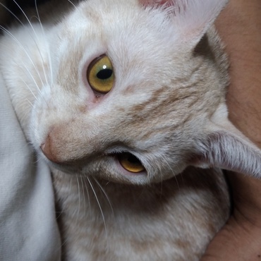 腕の中が落ち着く