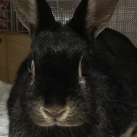 ホタル