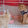 の写真
