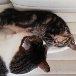 らぶらぶ　その2