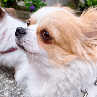 明るいマーローちゃん