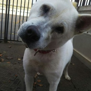 (希望者さん有)元気娘☆紀子ちゃん