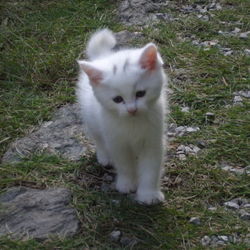 無事譲渡完了、ありがとうございました。