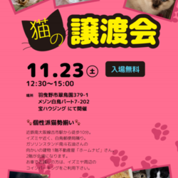 宝猫さんの譲渡会