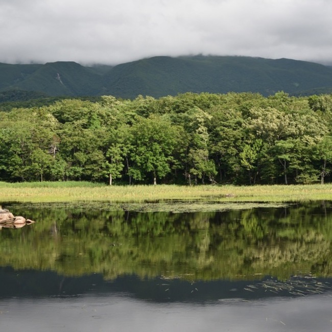 おふぃのカバー写真