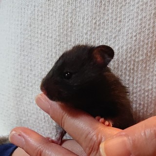 皆様、ありがとうございます(*- -)(*_ _)