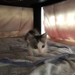 1週間経ちました