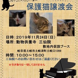 土岐市三仙院　猫の譲渡会