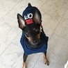 デラはイケメンです