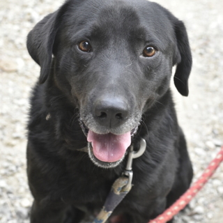 ラブミックスのダイです。