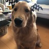 なおきzzz