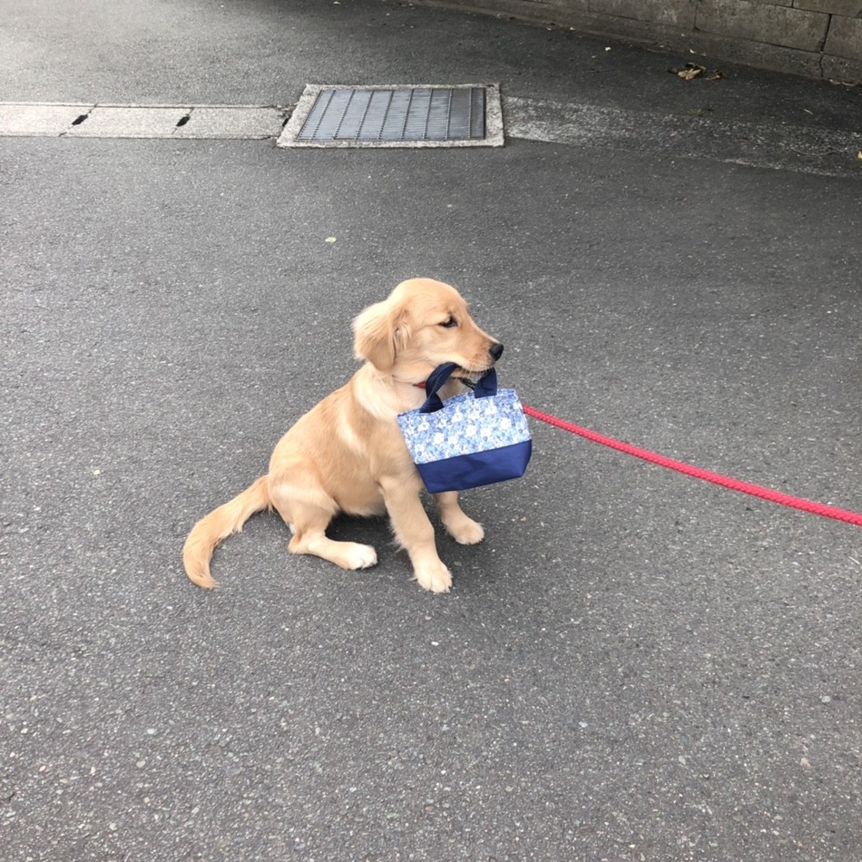 あめのカバー写真