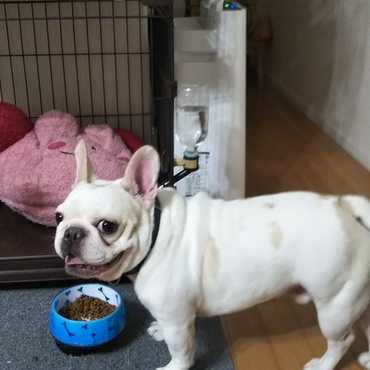 初めてのディナー♥