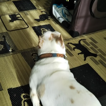 上手く画面に収められない笑