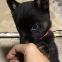 ハミングchan❤️ ２か月