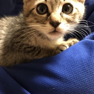 チームイケメン♪