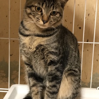 可愛い❤️姉妹