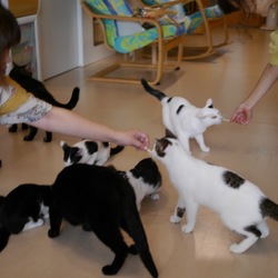 ■新大阪■お見合い会＆ふれあい授業参観■ サムネイル2